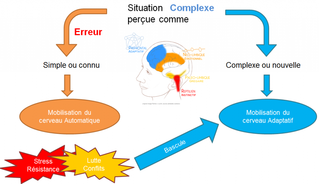 erreur et bascule stress