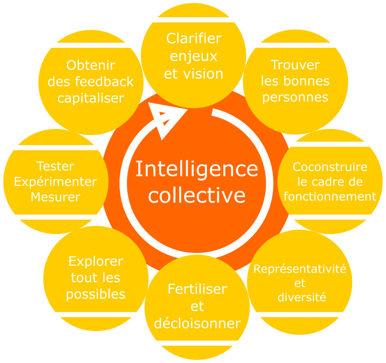 roue du processus de l'intelligence collective