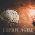 Esprit Agile