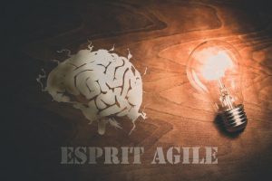 Esprit Agile