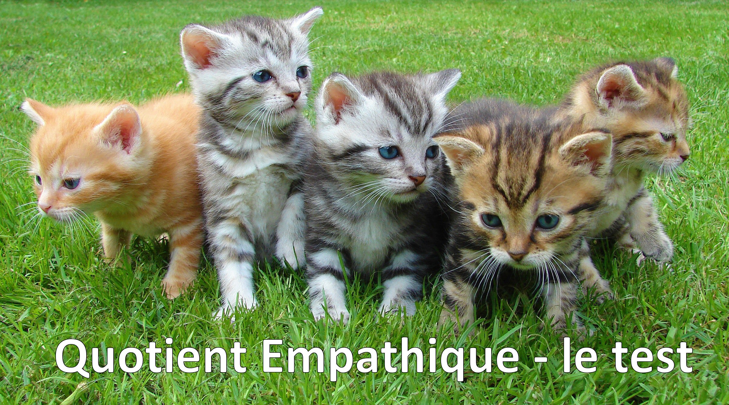 Quotien empathique - le test