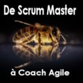 De Scrum Master A Coach Agile