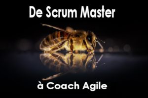 De Scrum Master A Coach Agile