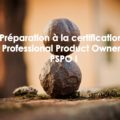 Préparation à la certification Professional Product Owner PSPO 1 scrum org