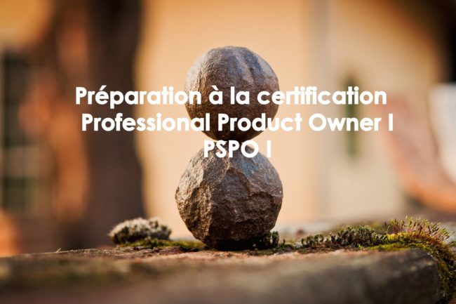 Préparation à la certification Professional Product Owner PSPO 1 scrum org