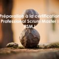 Préparation à la certification Professional Scrum Master 1, PSM 1 de scrum.org