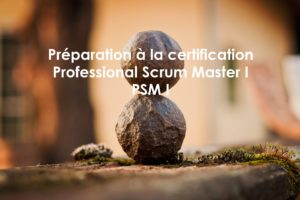 Préparation à la certification Professional Scrum Master 1, PSM 1 de scrum.org