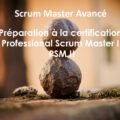 Préparation à la certification Professional Scrum Master 2, PSM 2 de scrum.org