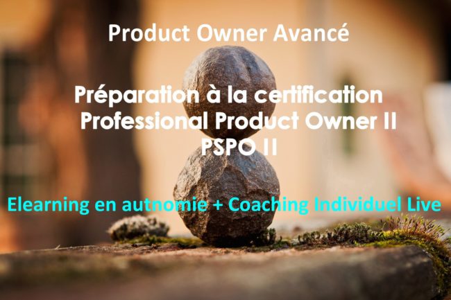 Préparation à  la certification Professional Scrum Product Owner  2,  PSPO 2 de scrum.org